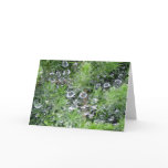 Morning Dew Card