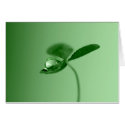 Morning dew drop cards