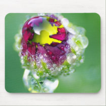 Morning dew drop mousepads