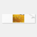 Morning Dew Droplets Bumper Stickers