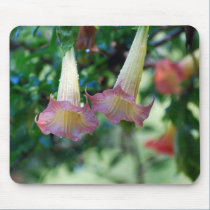 Morning Dew mousepads