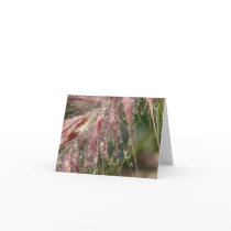 Morning Dew Note Card by LaVellaK Morning Dew Note Card