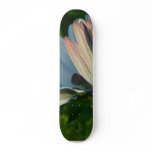Morning Dew On Flower Skate Decks