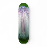 Morning Dew On Purple White Flower In Balboa Park Skate Deck