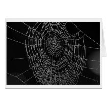Morning Dew On The Web cards