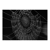 Morning Dew, On The Web posters