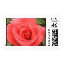 Morning Dew postage by jrrchrdsn72 Morning Dew postage