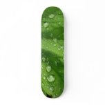 Morning_dew Skate Boards