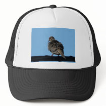 morning dove trucker hats