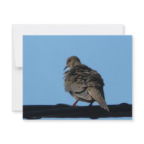 morning dove custom invitations