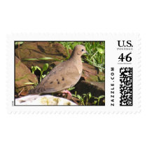 Morning Dove postage by gfrbf3761 Morning Dove postage