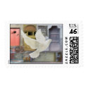 Morning Dove postage