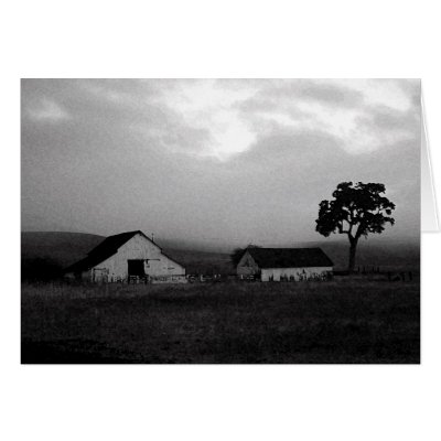 Morning Dreams by Jason Brink Card by jason_brink