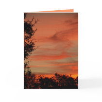 Morning Fire cards