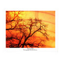Morning Fire posters by JoditoB Morning Fire posters