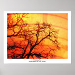 Morning Fire Print