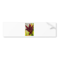 Morning Flower Bumper Sticker