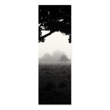 Morning Fog Emerging From Trees Business Card Templates