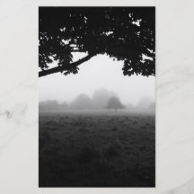 Morning Fog Emerging From Trees Full Color Flyer