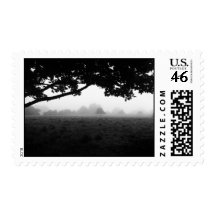 Morning Fog Emerging From Trees Stamps