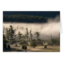 Morning Fog in the Adirondacks 4 cards