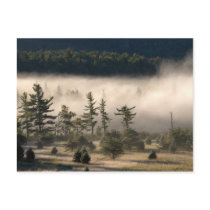 Morning Fog in the Adirondacks 4 Post Cards