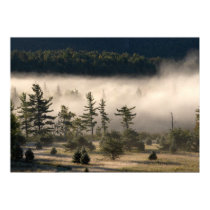Morning Fog in the Adirondacks 4 posters