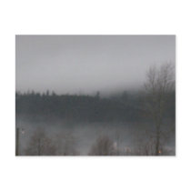 Morning Fog NB postcards