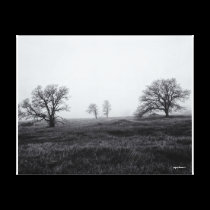 Morning Fog Paradise California 1985 canvas prints
