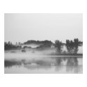 Morning Fog posters