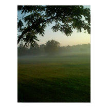 Morning Fog posters