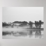 Morning Fog Poster