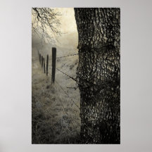 Morning Foggy Fence Line Posters