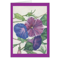 morning glories cards