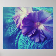 morning glories on paisley poster