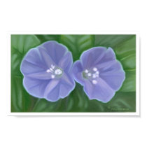 Morning Glories posters by artpals Morning Glories posters