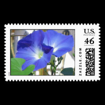 Morning Glories Stamp