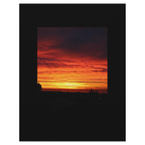 Morning Glory 1 letterhead
