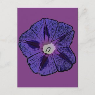 Morning Glory Abstract zazzle_postcard