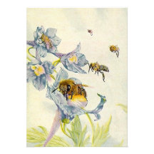 Morning Glory and Honey Bees Blank Invitations Ann