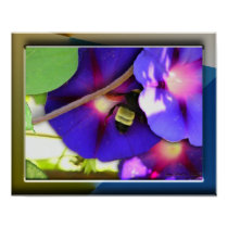 Morning Glory & Bee Poster #2 posters
