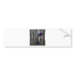 Morning Glory bumper stickers