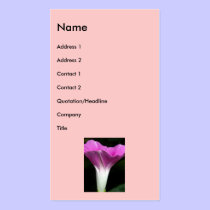 Morning Glory business cards