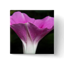 Morning Glory Button