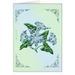 Morning Glory Card