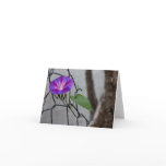 Morning Glory Greeting Card