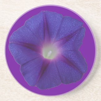 Morning Glory Coiaster coaster