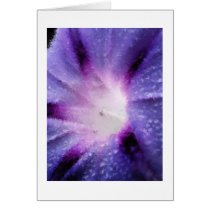 Morning Glory Colored Pencil cards by talliktok_katauyak Morning Glory Colored Pencil cards