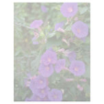 Morning glory, Deya, Mallorca flowers Customized Letterhead