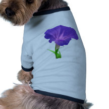 Morning Glory Flower Purple Pet T Shirt